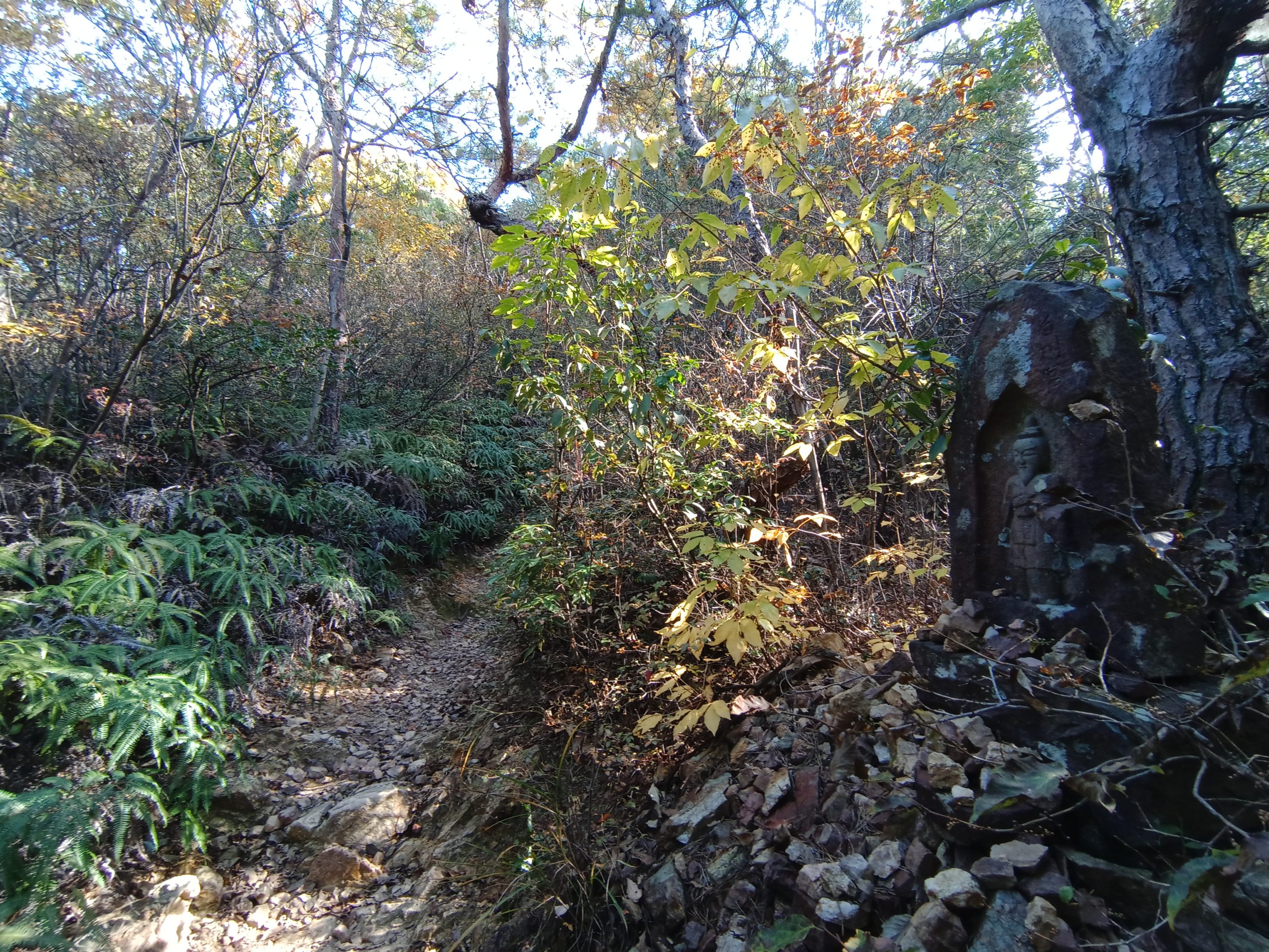 犬山紅葉寺から継鹿尾山（ハイキング・コース）