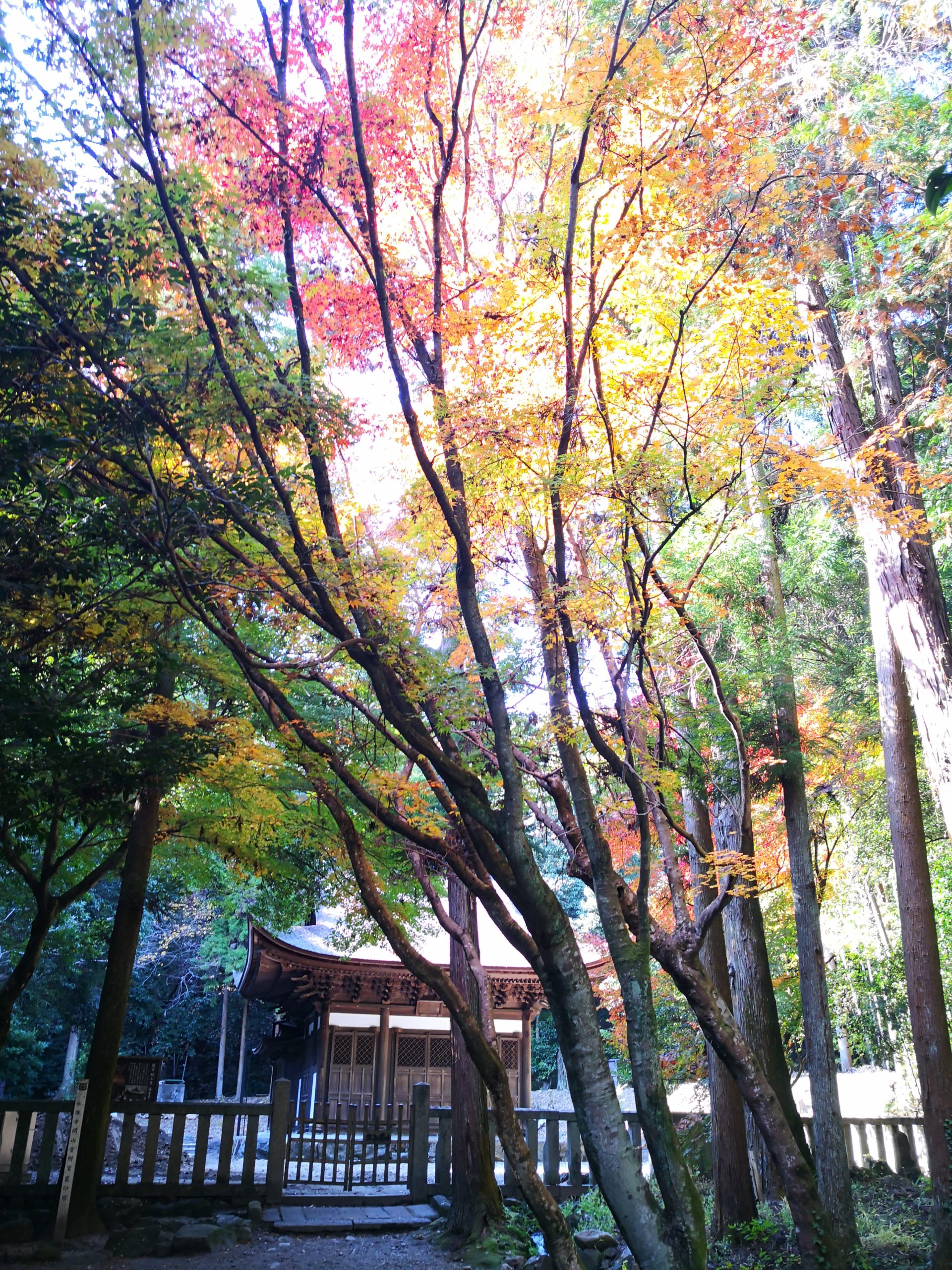 多治見 虎渓山永保寺、修道院と本町オリベストリート（ハイキング・コース）
