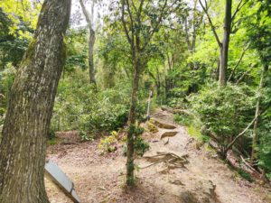 佐和山城西の丸の土塁