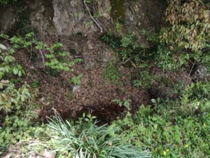 佐和山城千貫井戸