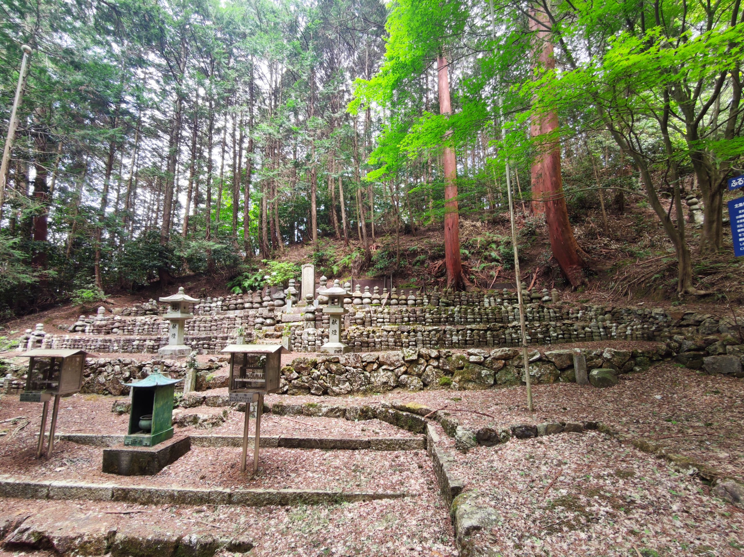 米原駅から番場宿、蓮華寺を経て醒ヶ井駅ハイキング・コース