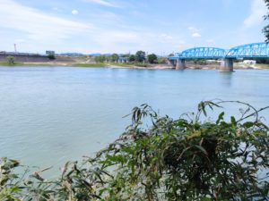 今渡の渡しから対岸を望む