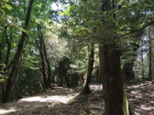 養老の東海自然歩道