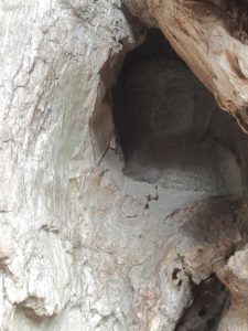 白山神社の覗き仏