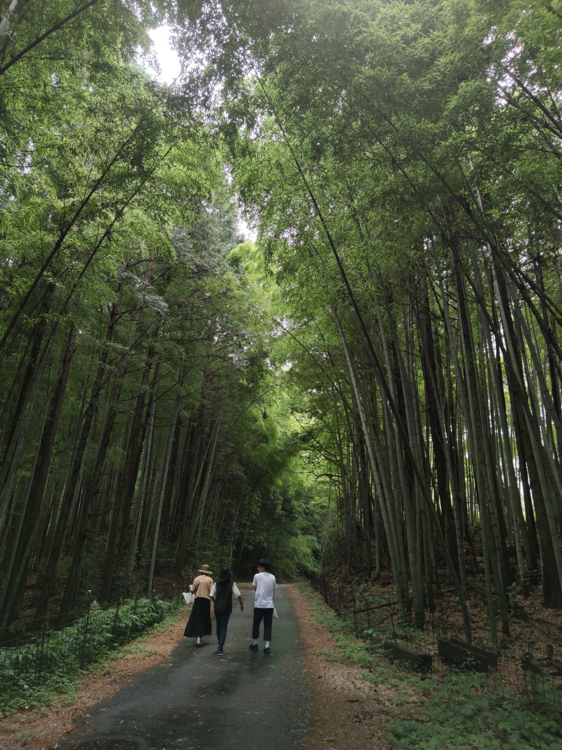 道の駅平成周辺ハイキング・コース