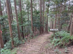 美濃金山城搦手道