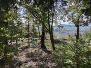 小谷城福寿丸跡