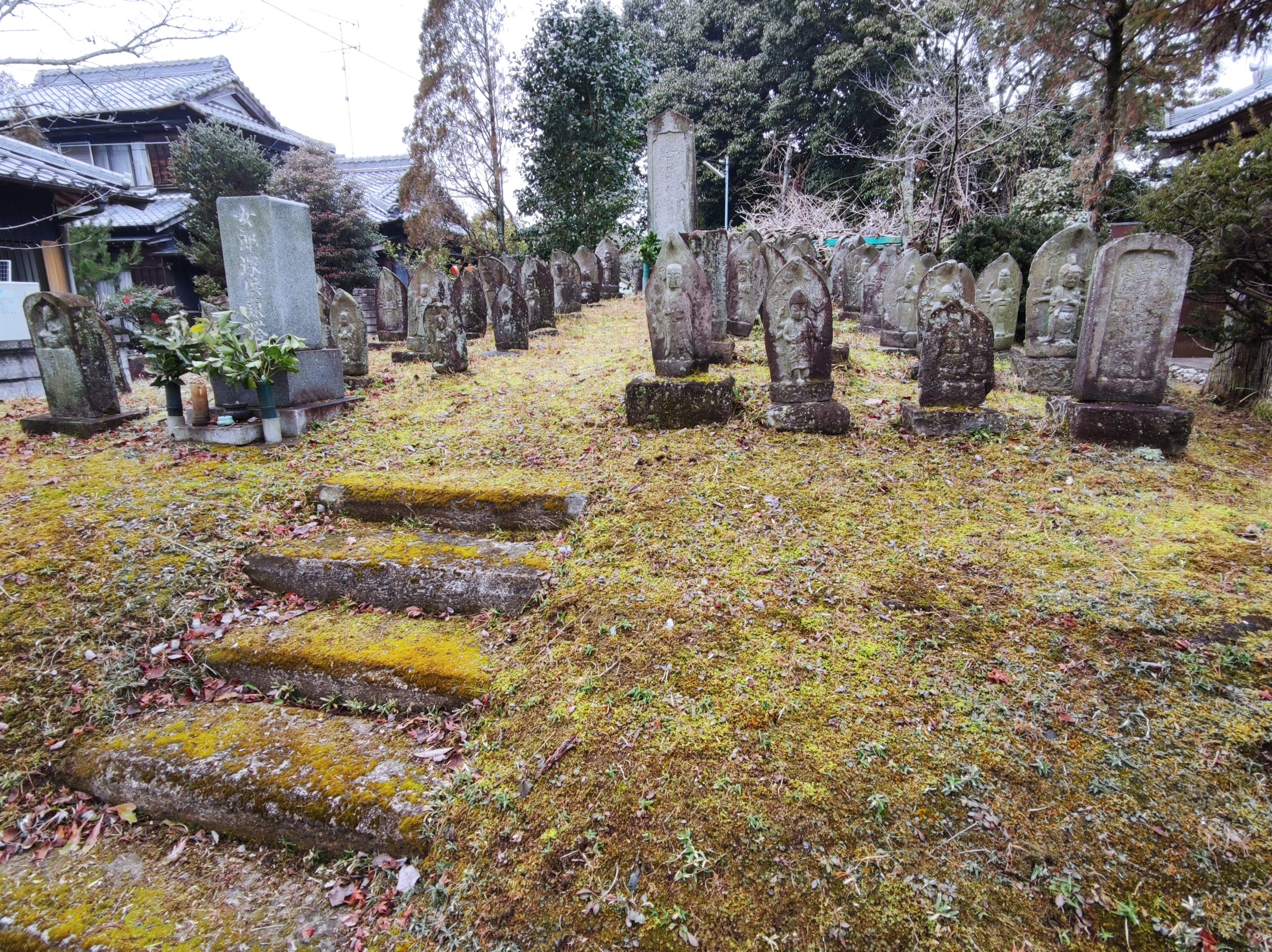 中山道御嵩宿から伏見宿（ハイキング・コース）