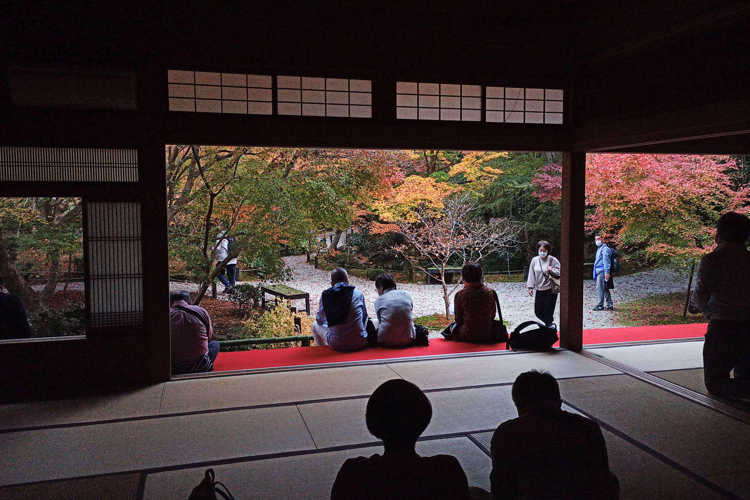 京都ウォーキング 圓光寺・曼殊院
