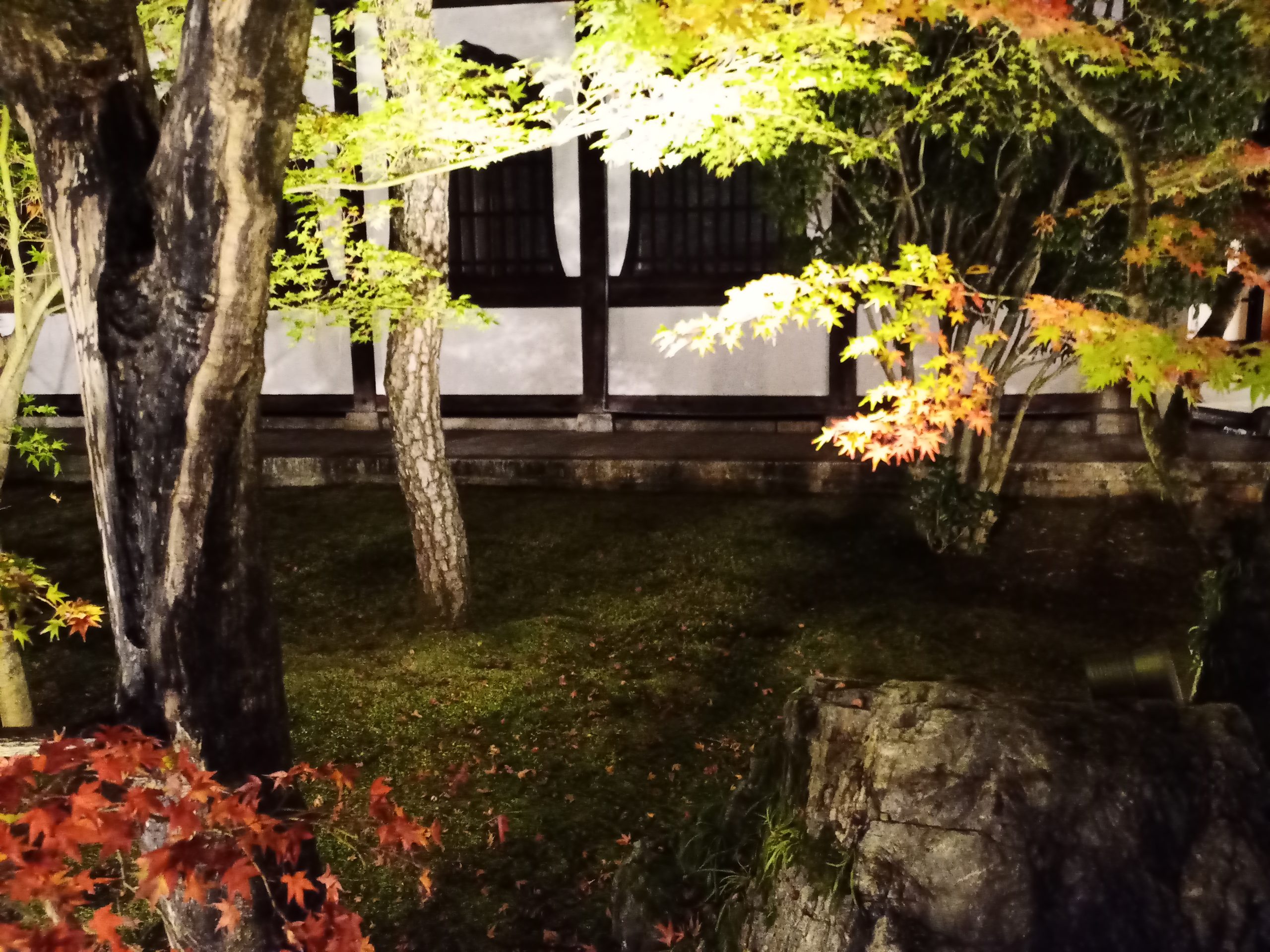 永観堂夜のライトアップ