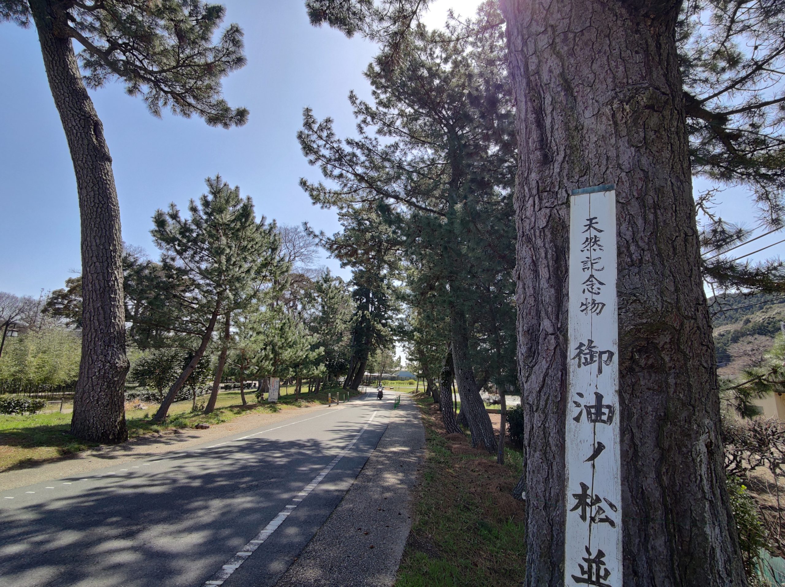 東海道 赤坂宿・御油宿（ウォーキング・コース）
