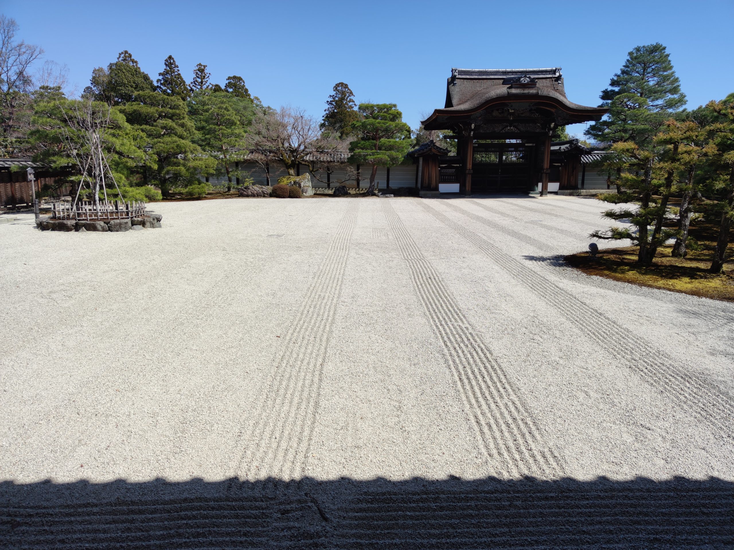 京都ウォーキング 仁和寺・妙心寺