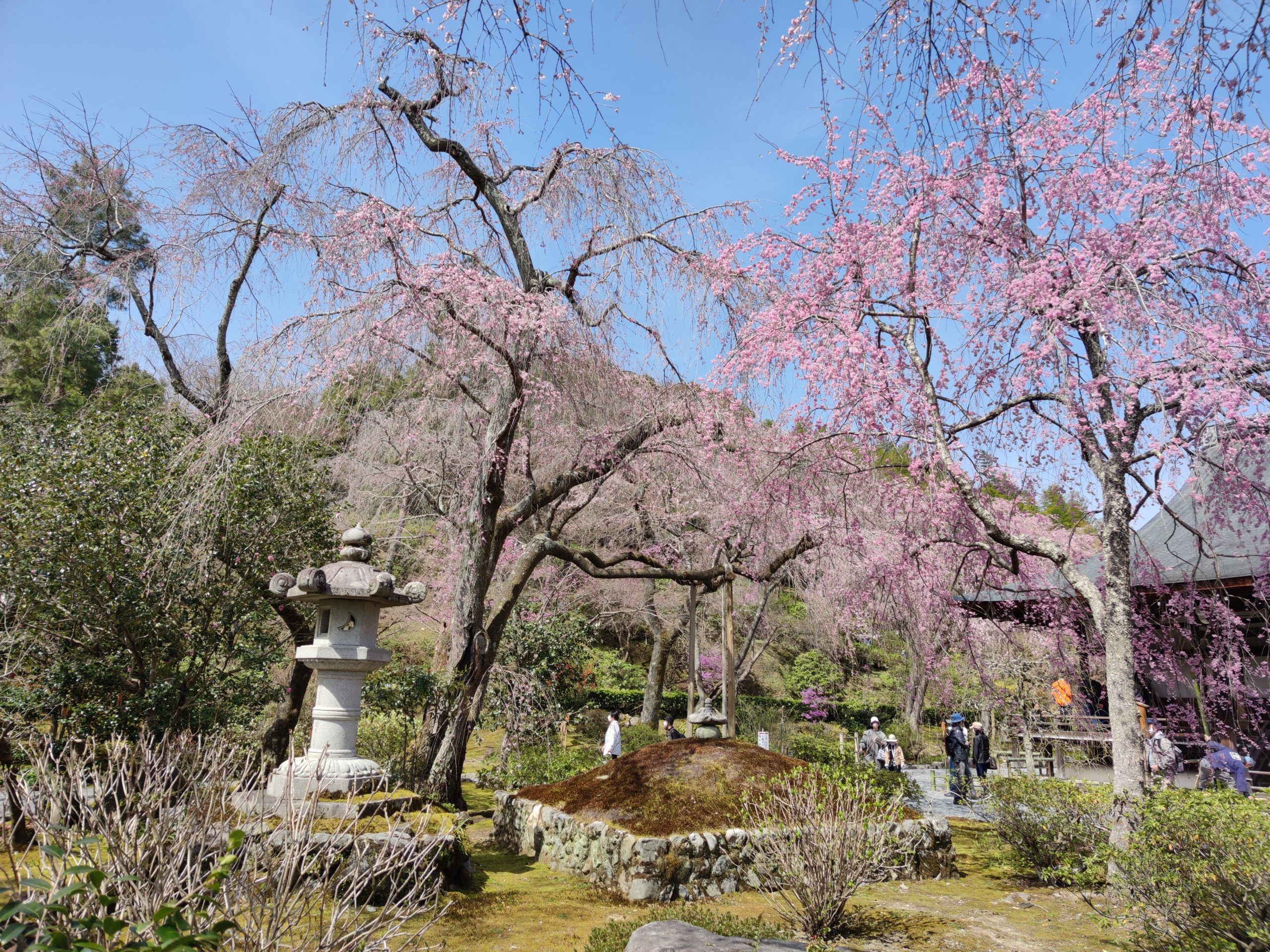 Tenryuji Garden