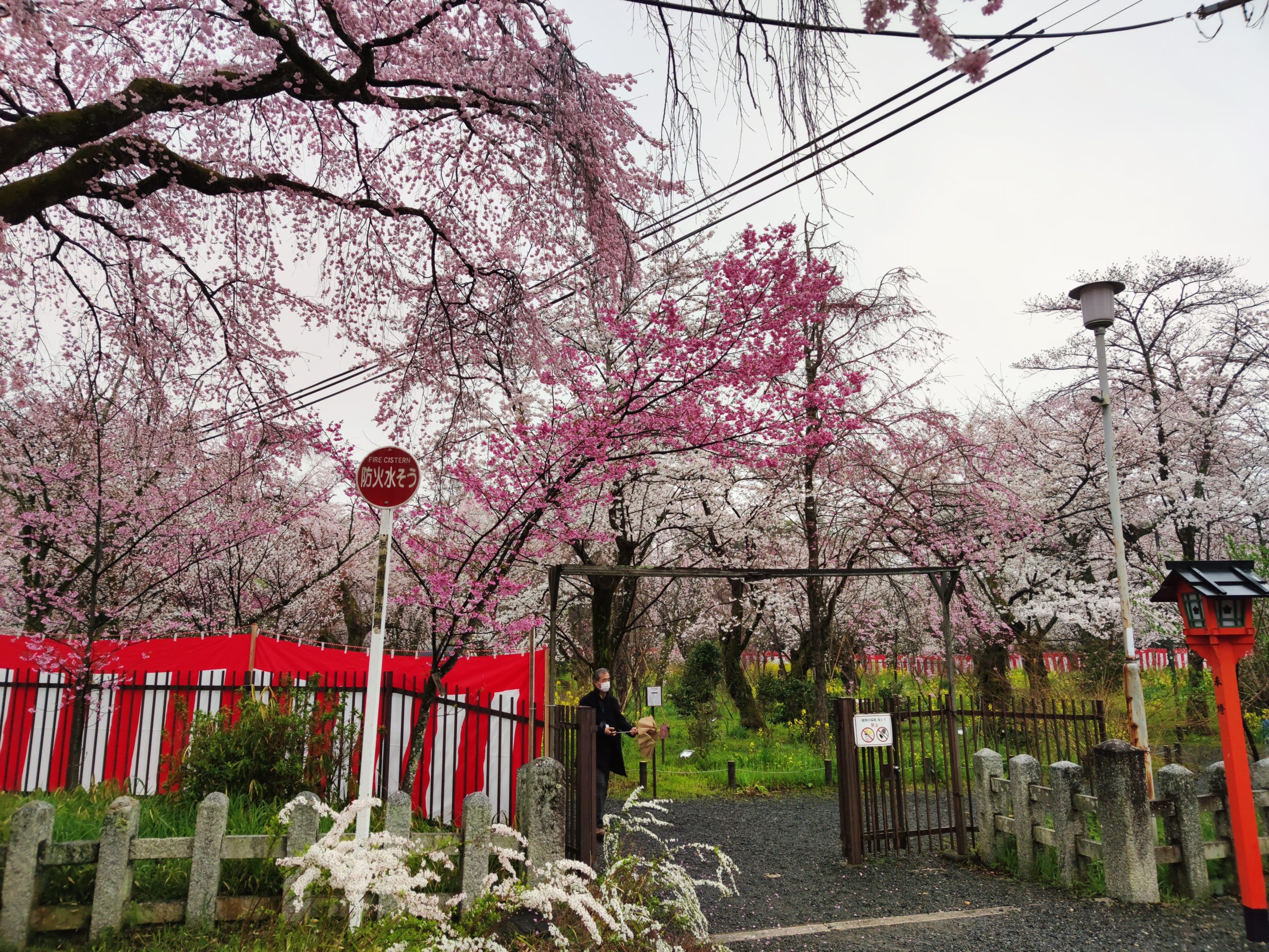 平野神社
