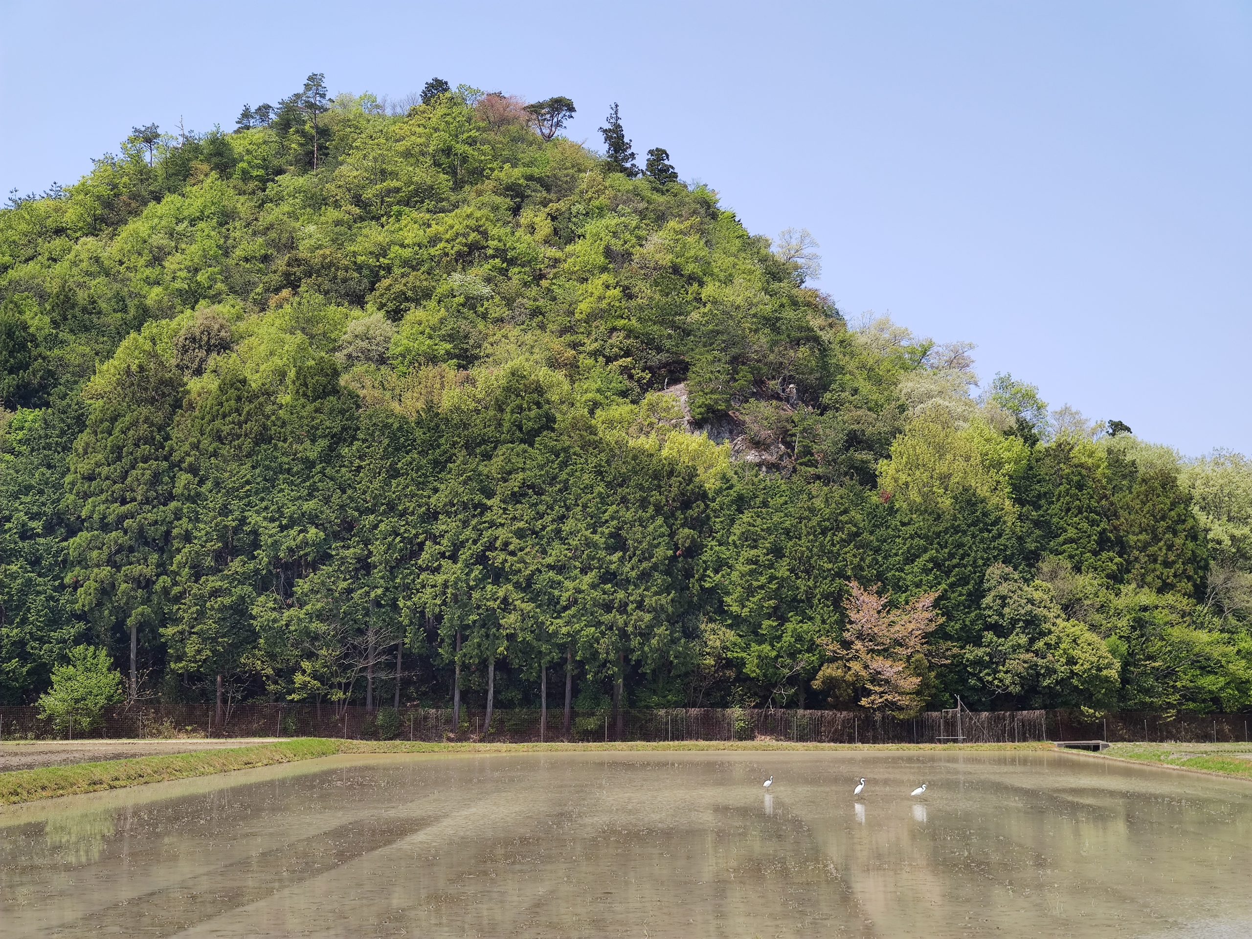 米原から西円寺、息長。古代から中世の近江を訪ねる（ハイキング・コース）