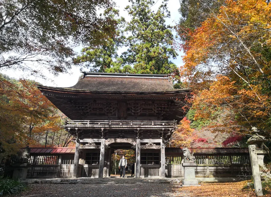 大矢田神社から天王山・誕生山（ハイキング・コース）